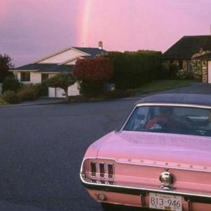 中国唯一一次黑毛时装秀
