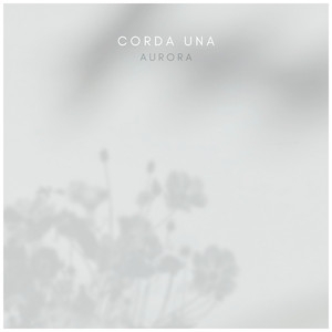 中国唯一一次黑毛时装秀
